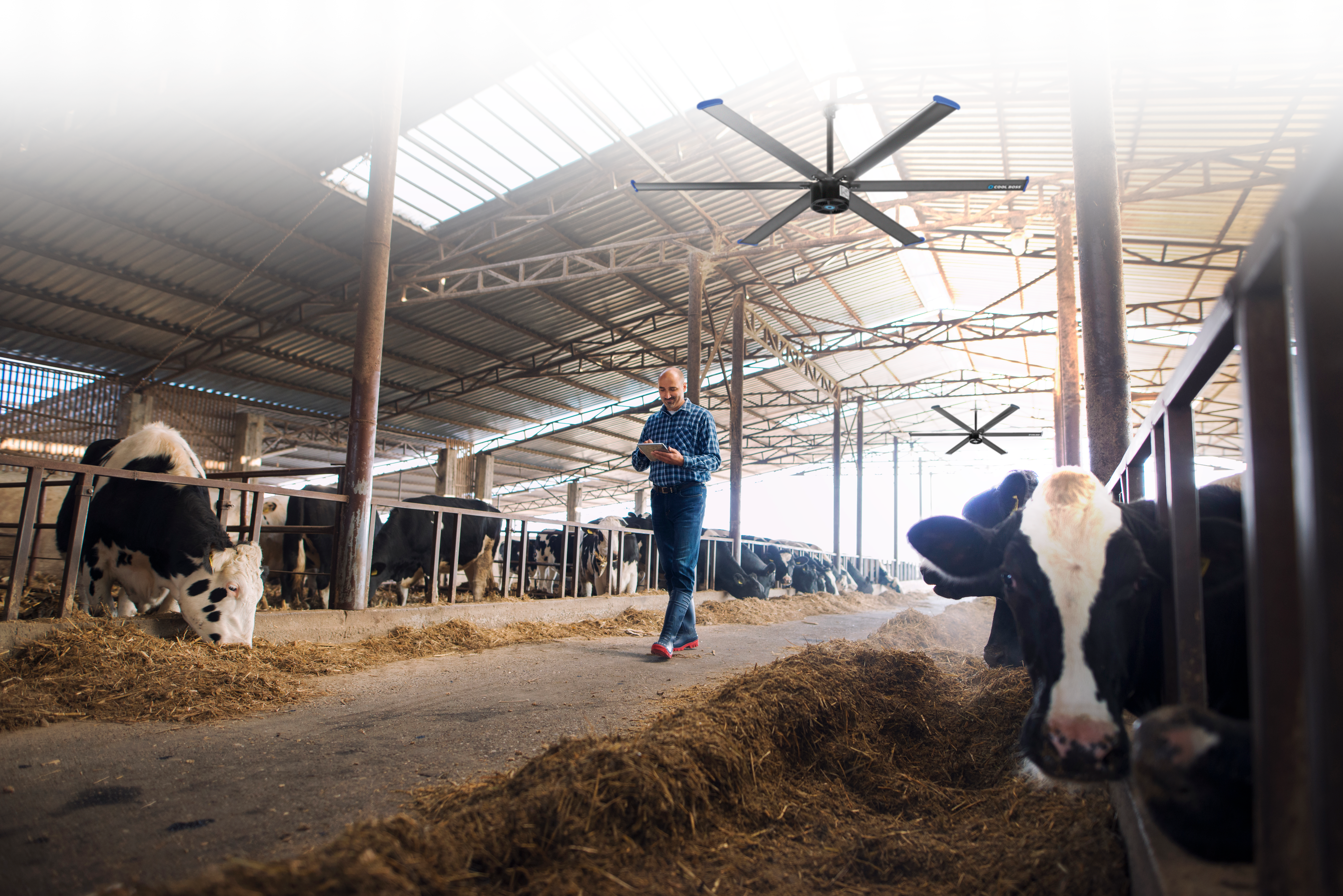 Year-Round Destratification and Agricultural Ventilation